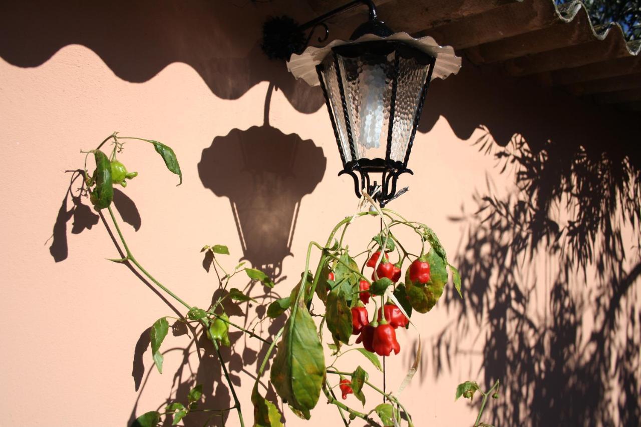La Casa Di Sara Villa Pula Eksteriør billede